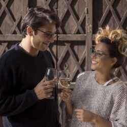 Veleprodaja optike Novi Sad 81 Optissimo doo