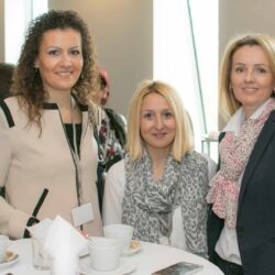 Veleprodaja optike Novi Sad 116 Optissimo doo