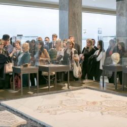 Veleprodaja optike Novi Sad 91 Optissimo doo