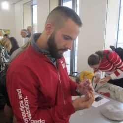 Veleprodaja optike Novi Sad 14 Optissimo doo